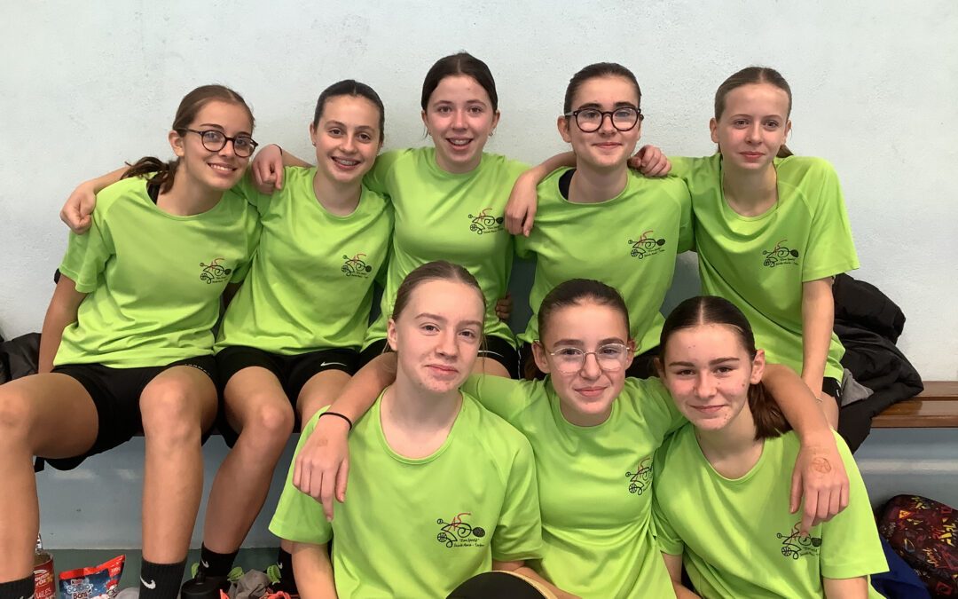 Les basketteuses vice-championnes départementales